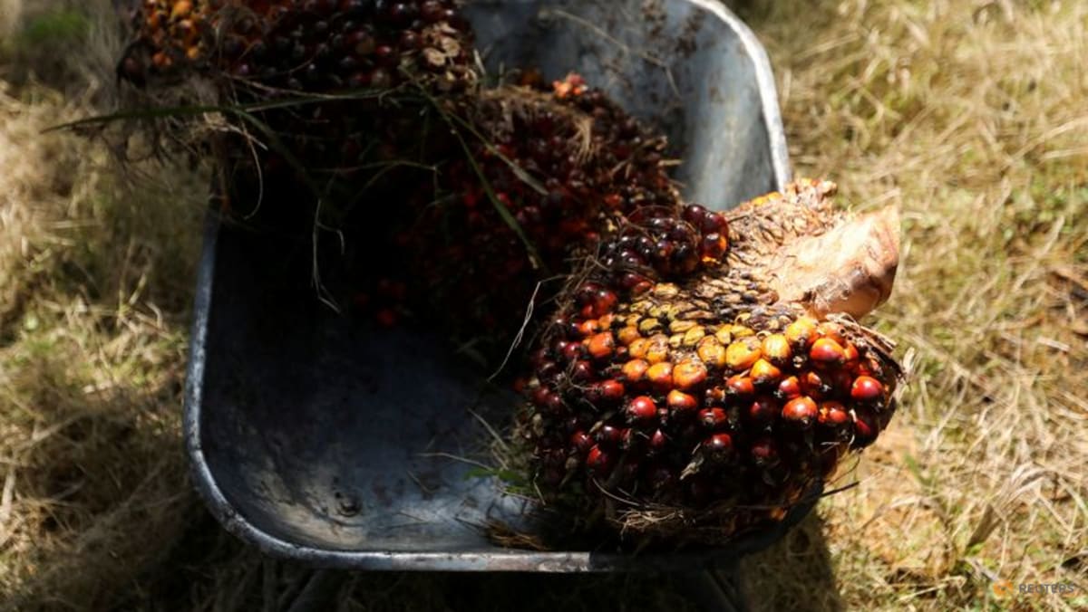 Malaysia's palm oil stocks to drop as output slows and exports rise