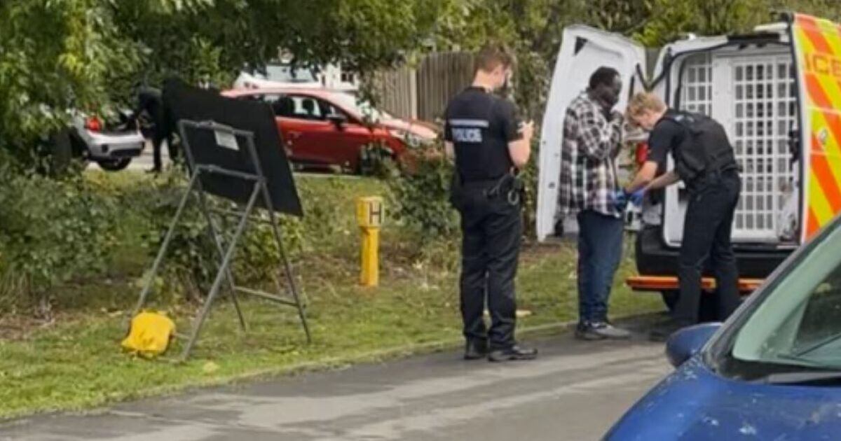 Man arrested at school near Epping after reports of 'migrant breaking in'
