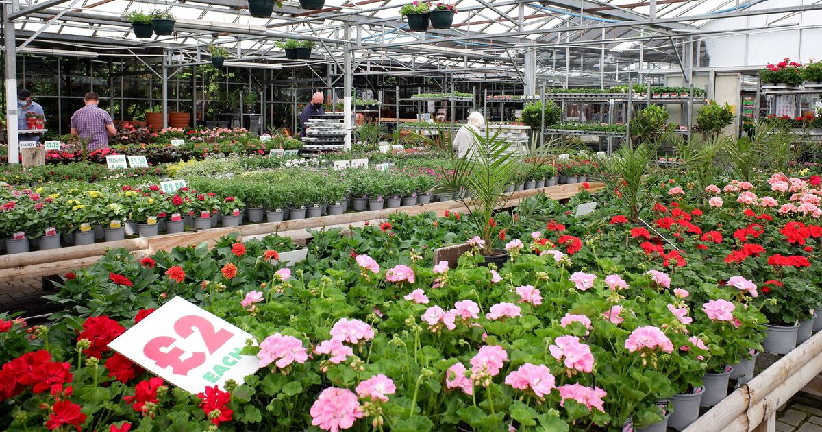 Man delighted after making unexpected discovery inside UK garden centre