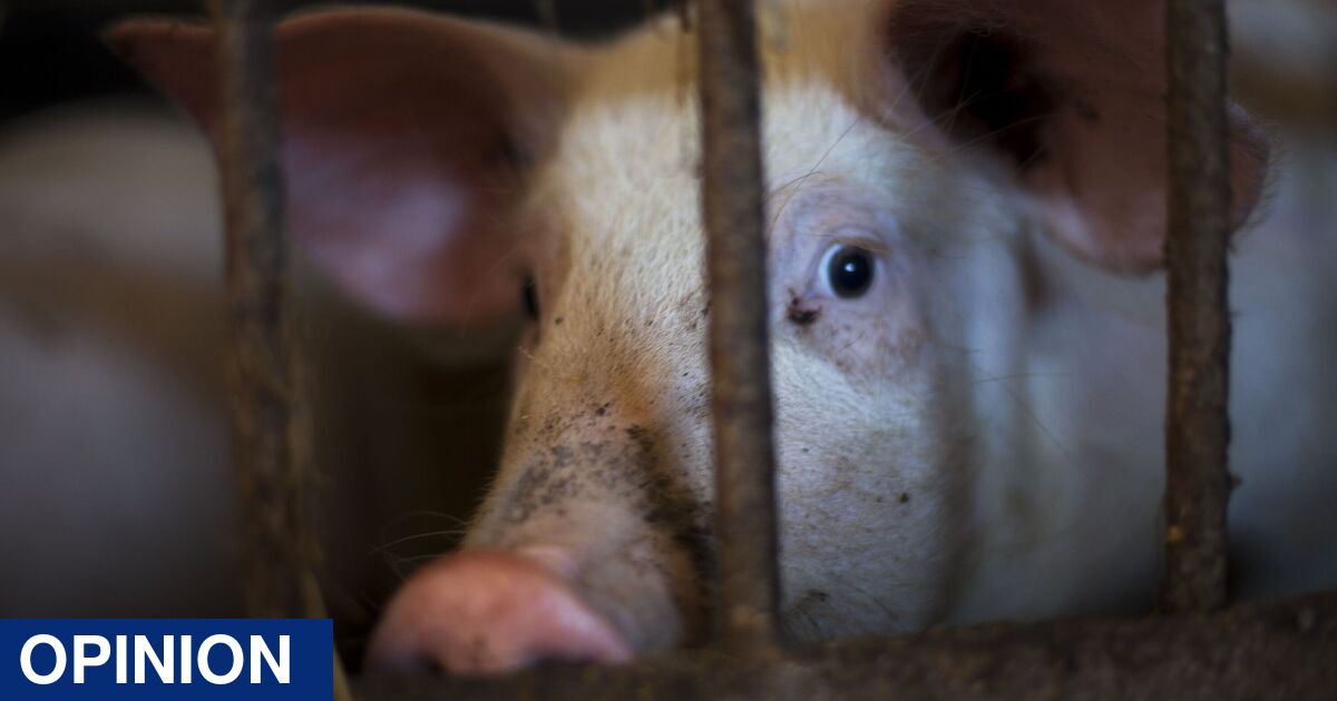 Mandatory food labelling is essential for UK food security