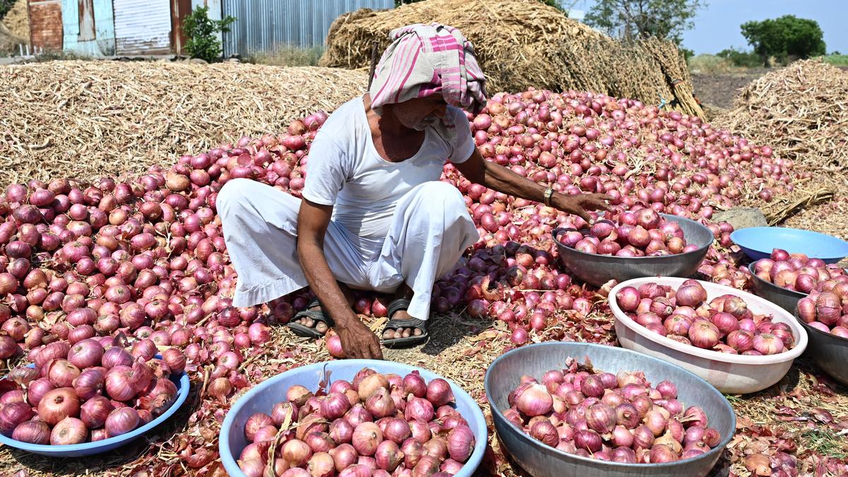 NAFED must coordinate with Maharashtra Govt on onion market decisions: Minister Jaykumar Rawal