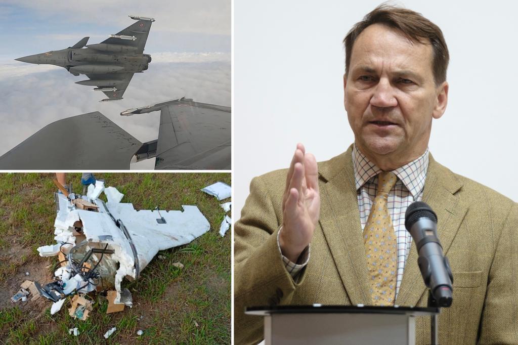 NATO must impose no-fly zone over Ukraine to protect from Russian...