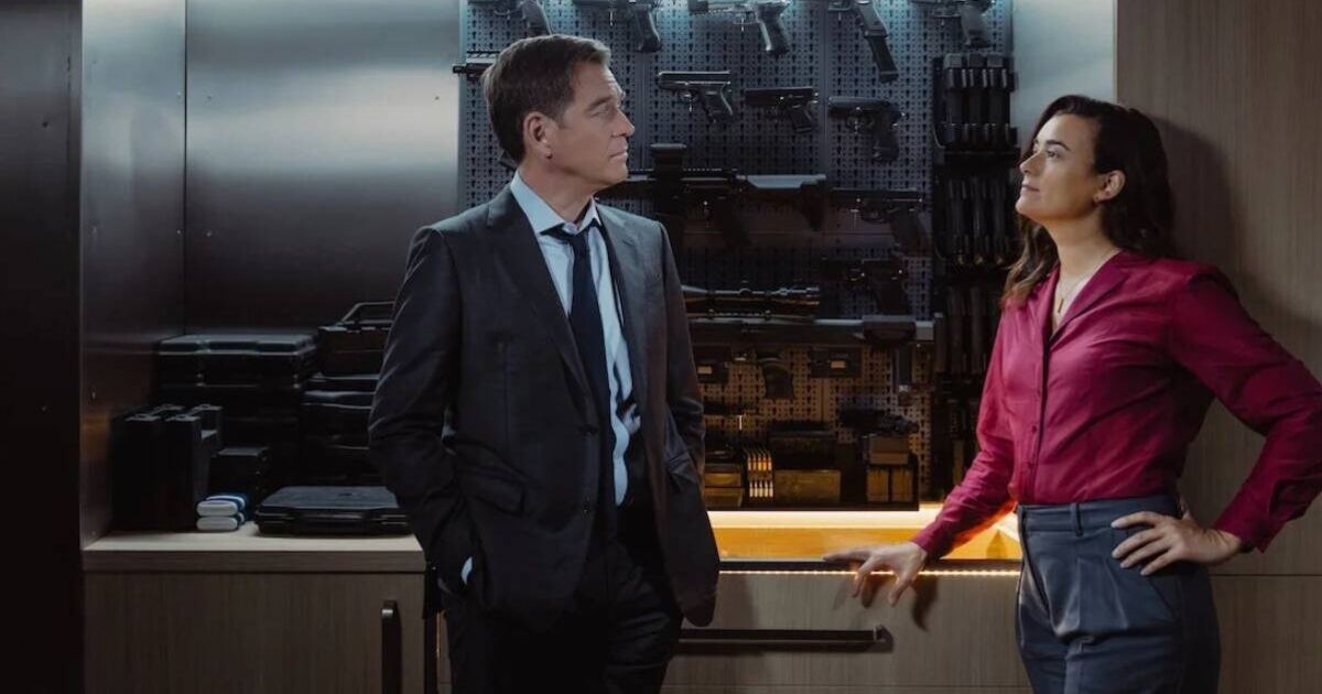 NCIS star Michael Weatherly talks 'wonderful' dynamic with Cote de Pablo on set