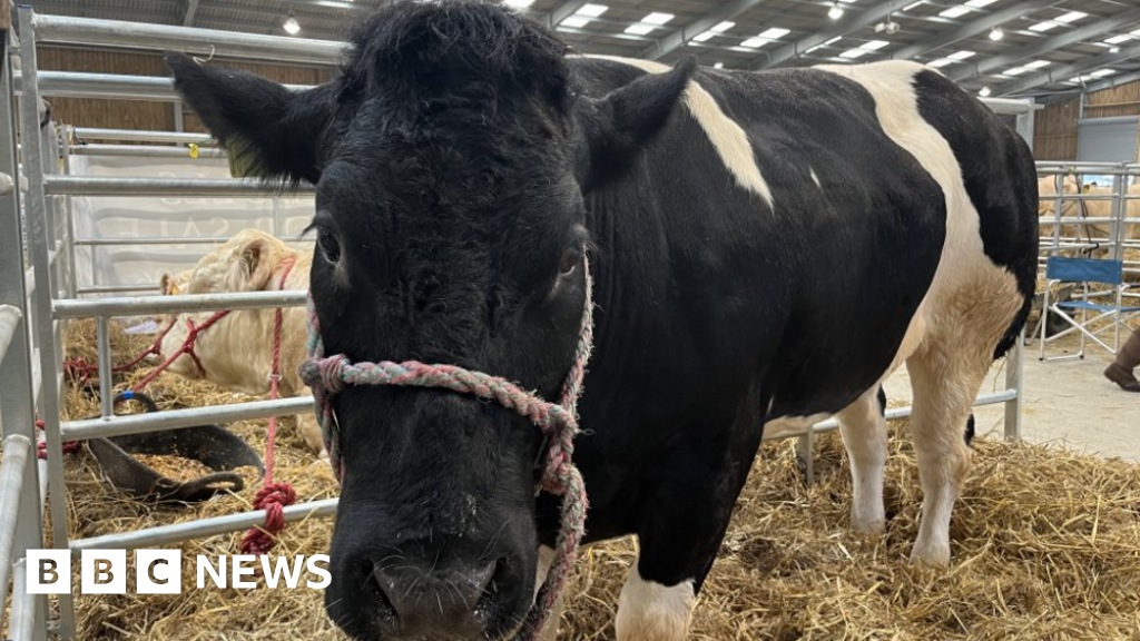 Newbury agricultural show 'still growing' after pandemic break