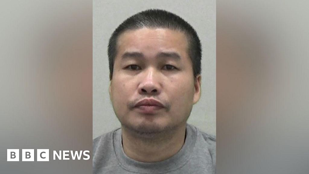 Newcastle cannabis farm grower jailed