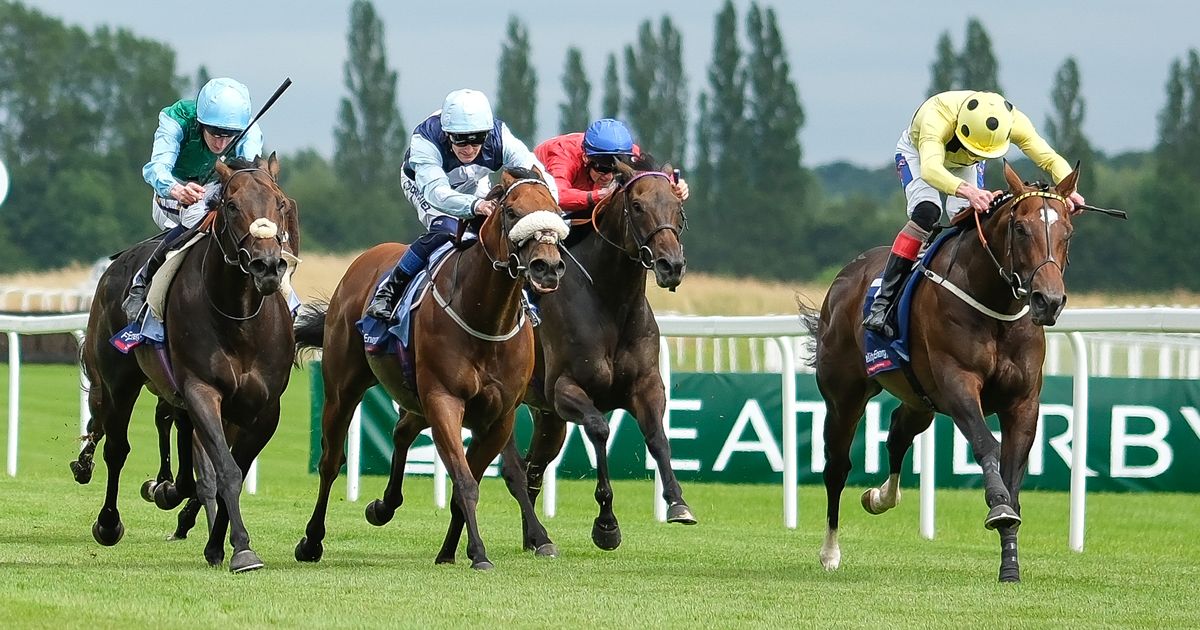 Newsboy's horseracing tips for Friday's four meetings including Newbury NAP - The Mirror