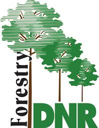 Over $500,000 in grants available for Indiana forestry projects | WBIW