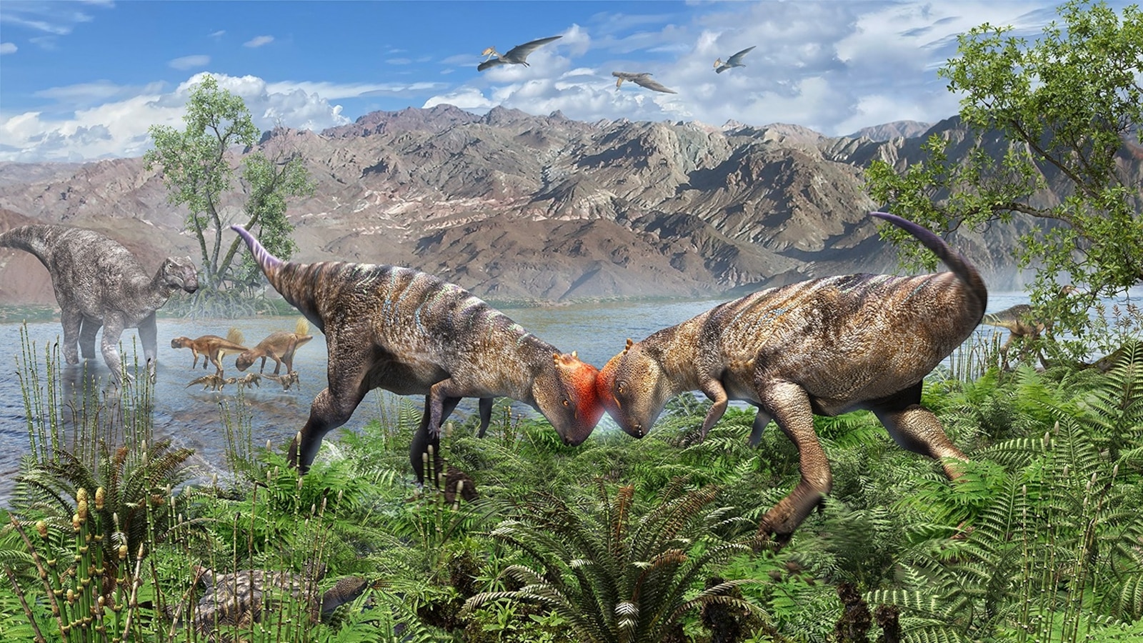 Paleontologists discover earliest dome-headed dinosaur