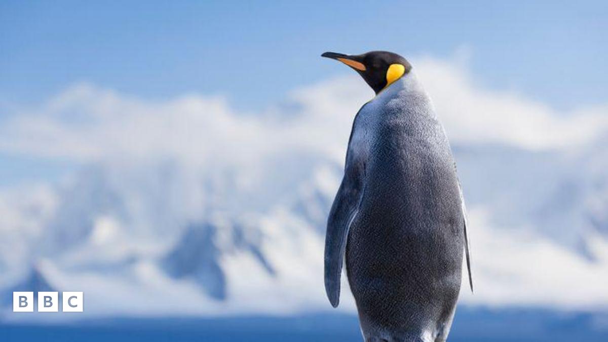 Partial Solar Eclipse 2025 visible in Antarctica, New Zealand and Australia