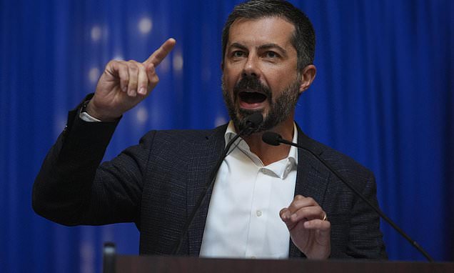 Pete Buttigieg rallies against redistricting in home state of Indiana