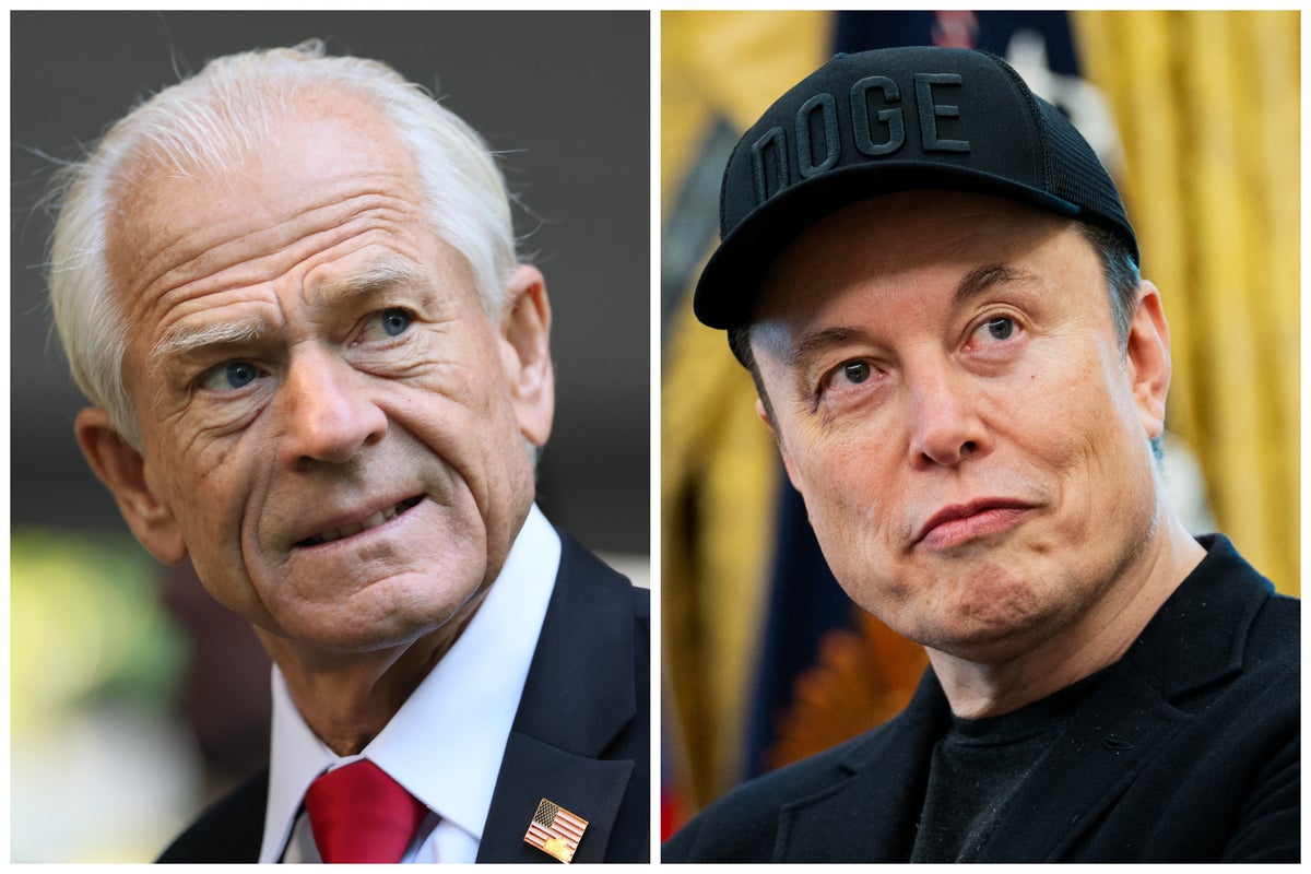 Peter Navarro calls on Musk to cleanse 'cesspool' on X and ban foreigners