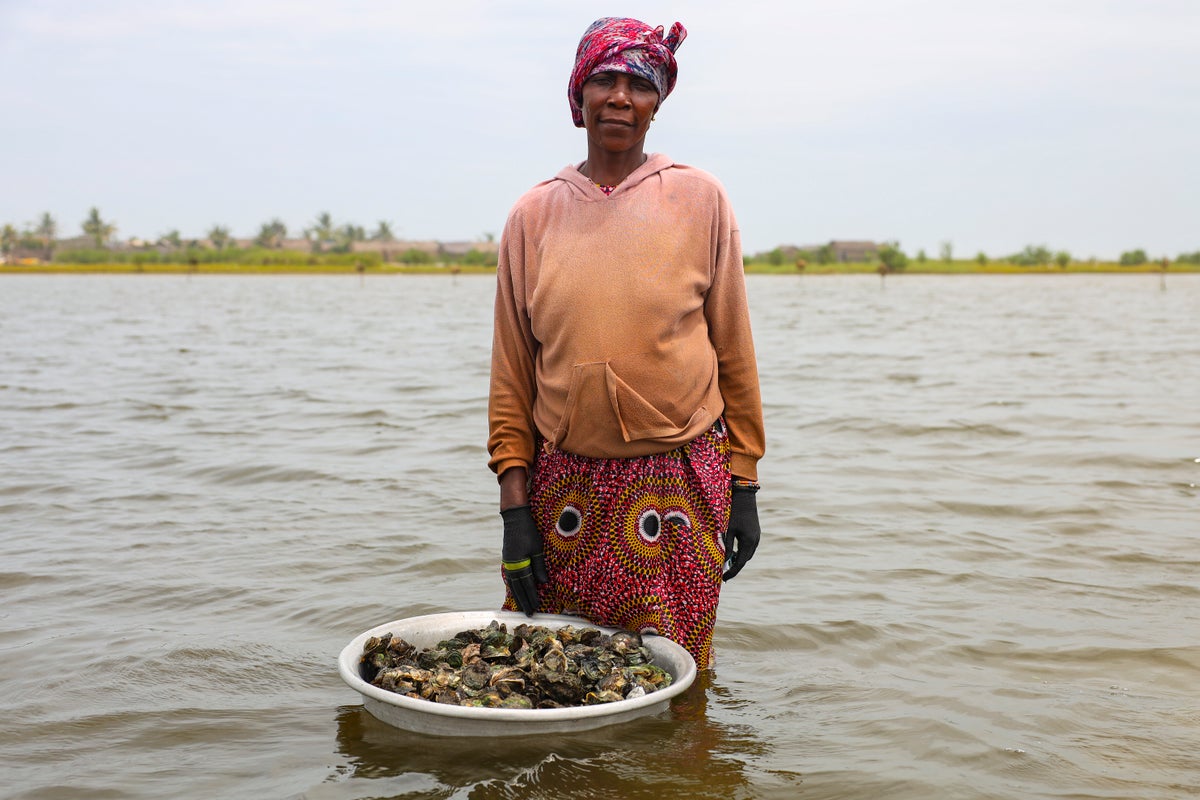 Photos show Ghana's female oyster farmers sustaining a generational practice