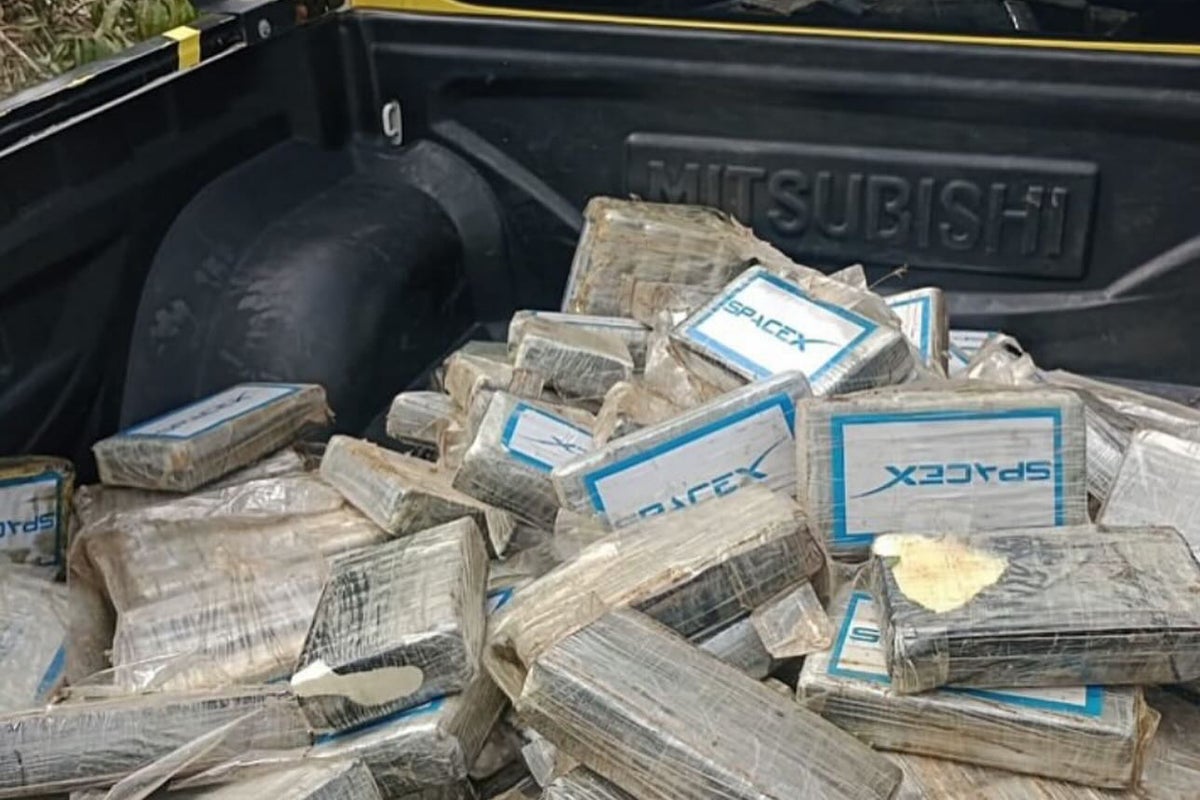 Pilot dies after plane carrying 180kg of SpaceX-branded cocaine crashes in Brazil