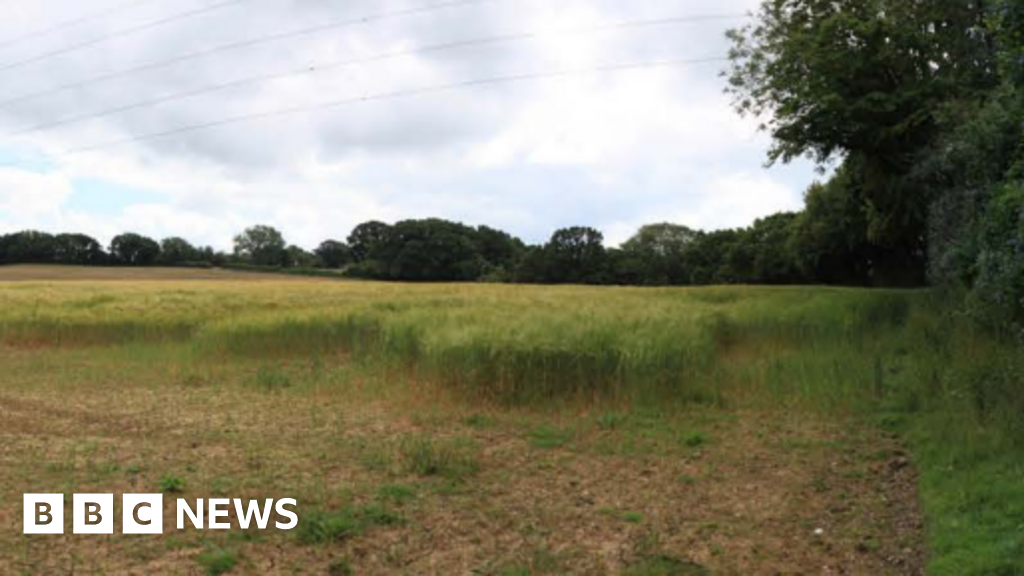 Plan for battery site on farmland in Wealden to be decided