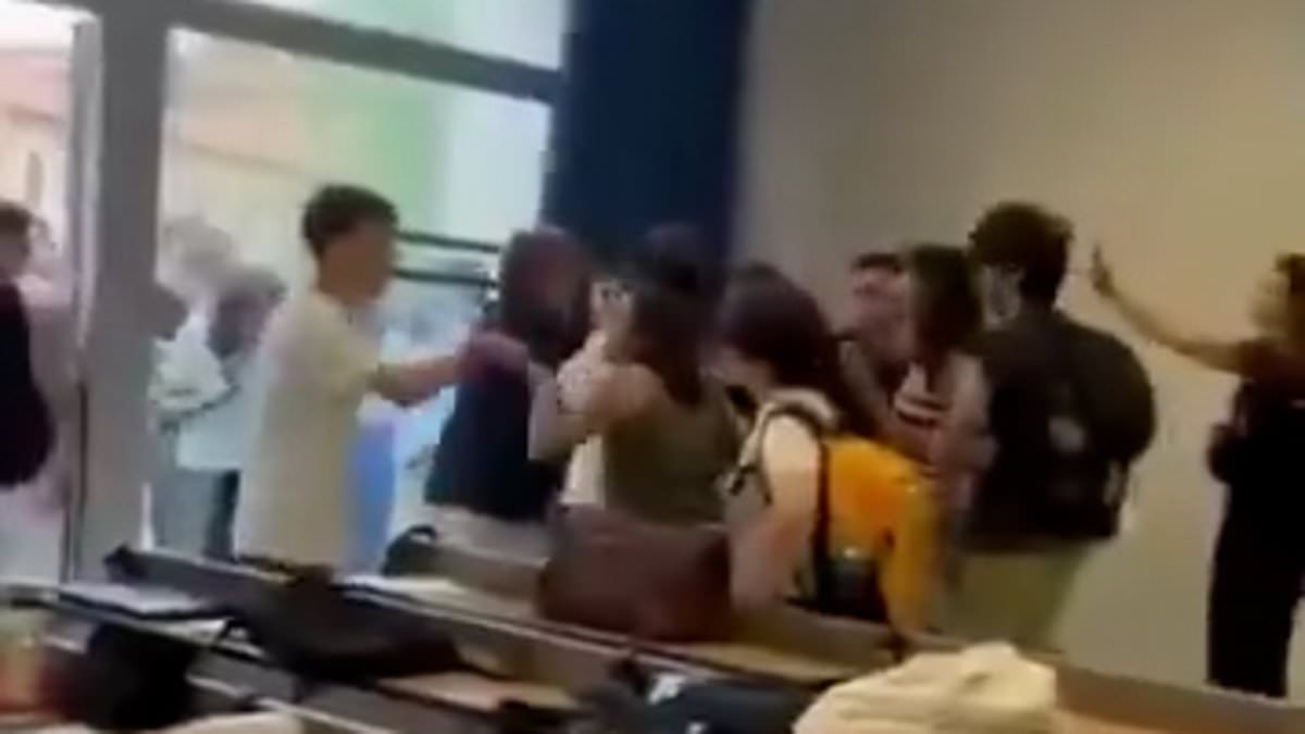 Pro-Palestine mob attacks professor and student who tried defend him