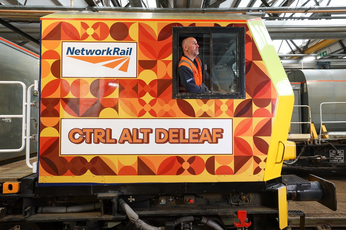 Public chooses Ctrl Alt Deleaf as name for leaf-clearing train