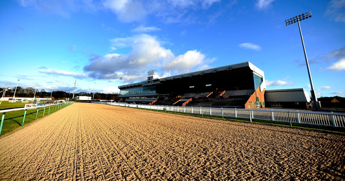 Punter collects £30,000 windfall from 8p each way 'mega multiple' bet - The Mirror