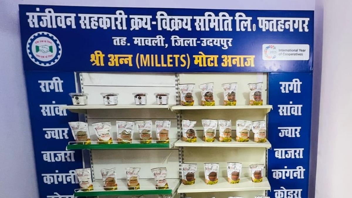 Rajasthan surpasses target for millet outlets in rural areas