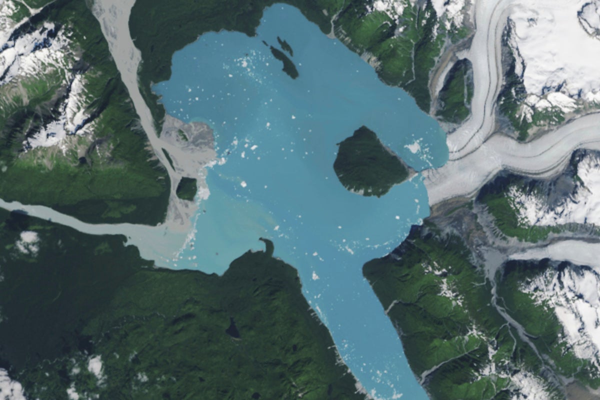 Retreating Alsek Glacier reveals new island in southeast Alaska