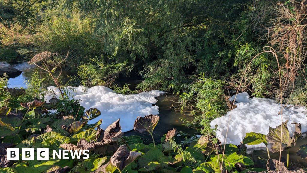 River Skerne foam investigations continuing