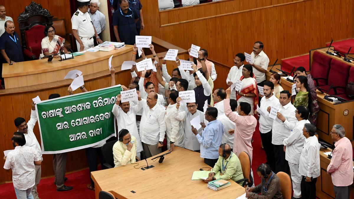 Ruckus in Odisha Assembly over fertiliser crisis, House adjourned till 4 p.m.