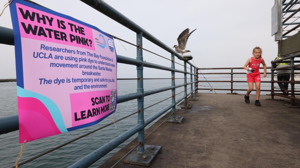 Santa Monica's waves have turned a bright pink. How can the dye job improve water quality?