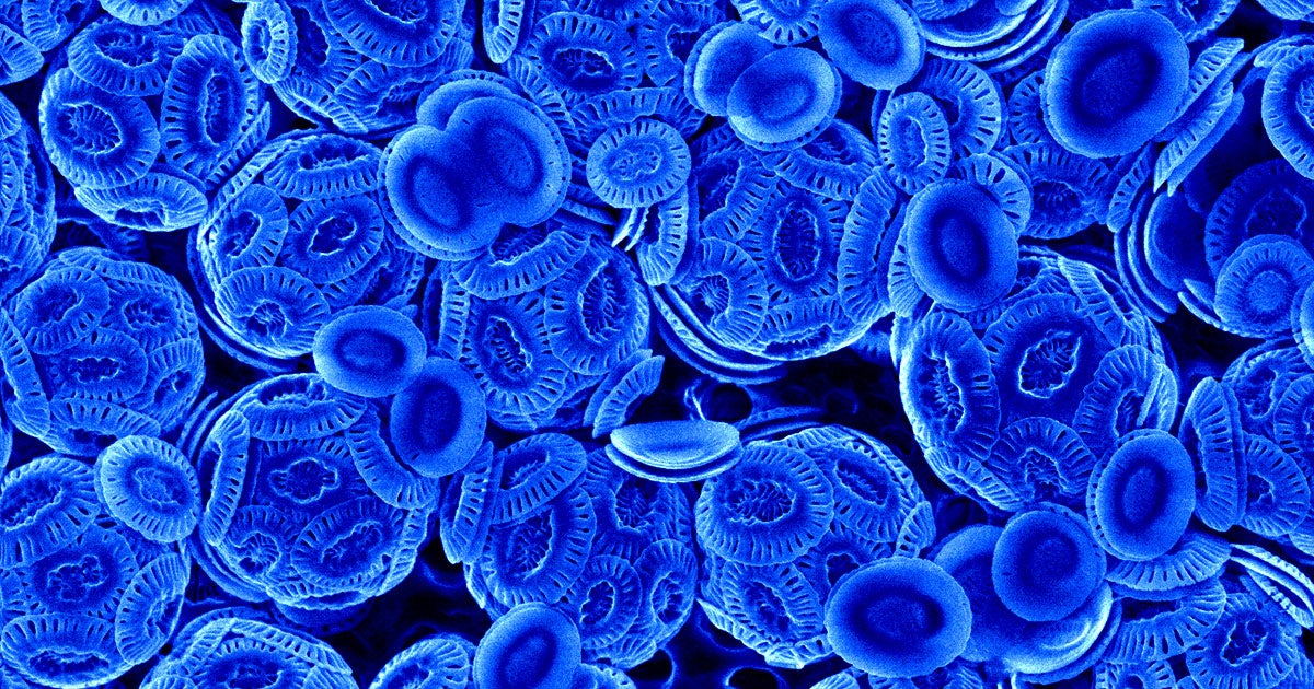 Satellites Spotted a Strange Glow in the Ocean, and Scientists Have a Wild Explanation