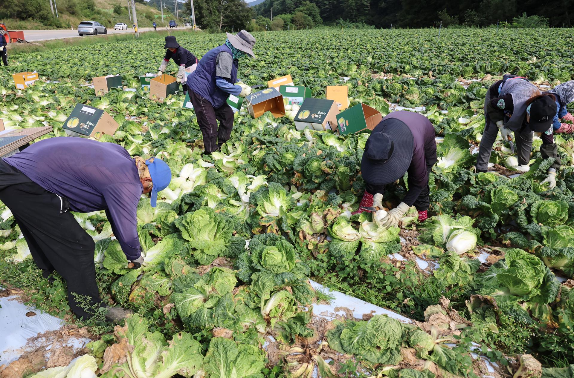 Savings banks, capital firms join fray to court foreign residents - The Korea Times