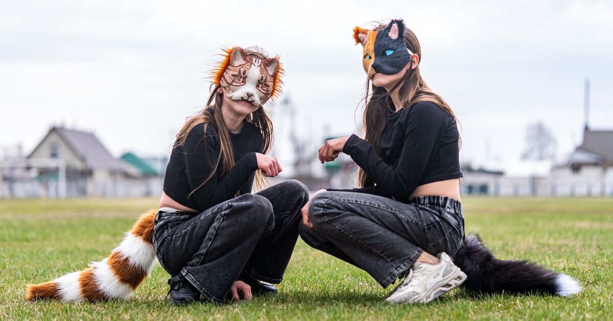 School denies giving litter trays to students identifying as 'furries'