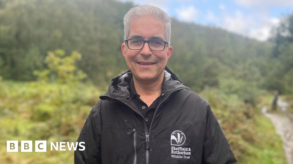 South Yorkshire wildlife charity bid to save 'vanishing' heathland