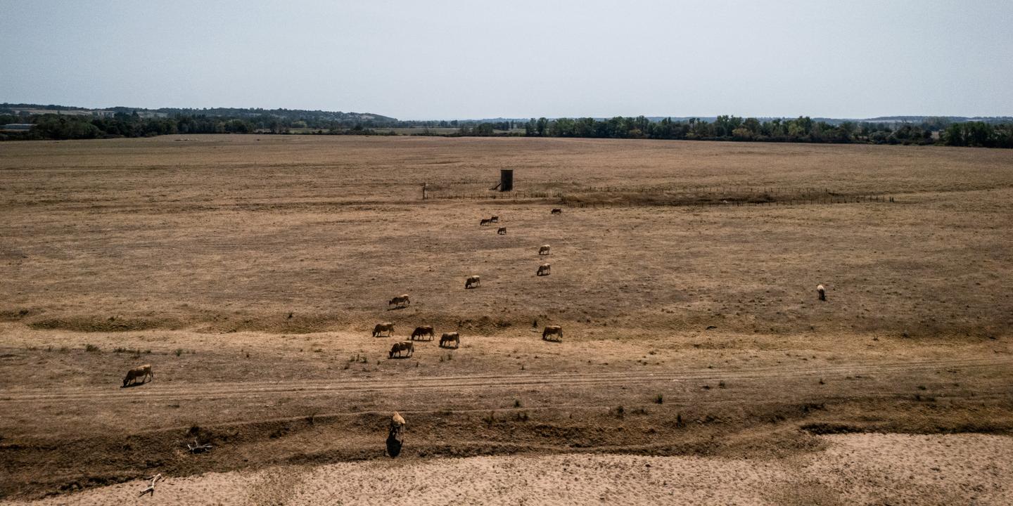 Summer 2025 heat waves cost France over €10 billion