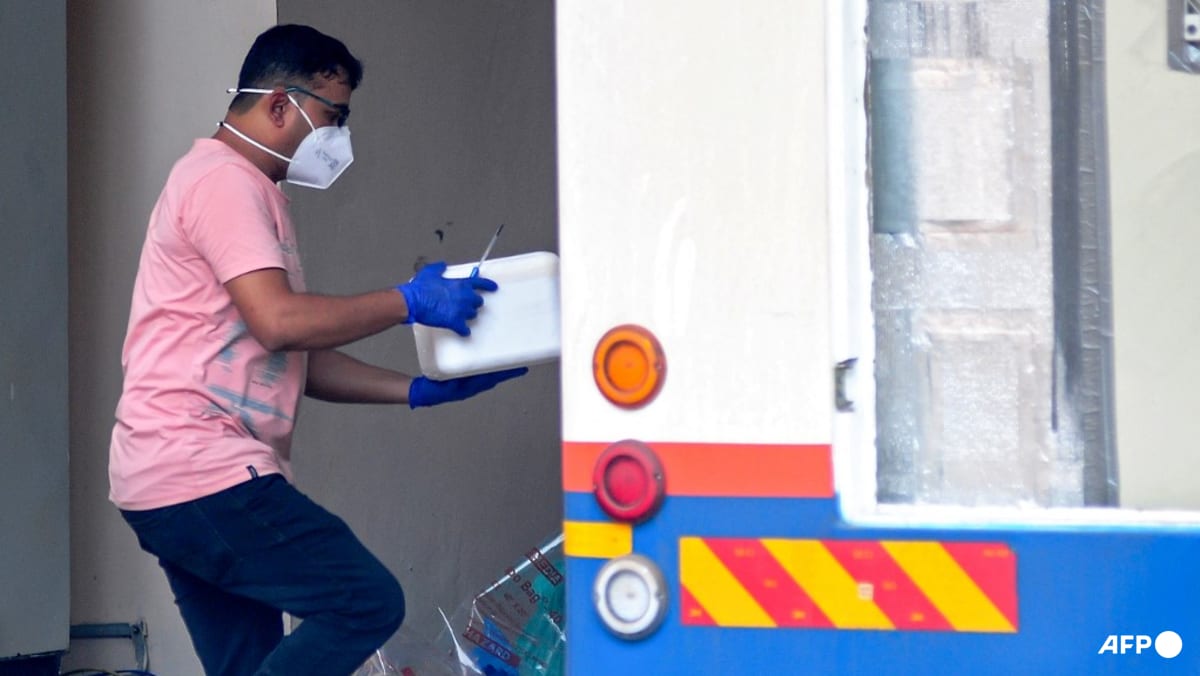 Surge in deadly 'brain-eating' amoeba cases causes alarm in India's Kerala state