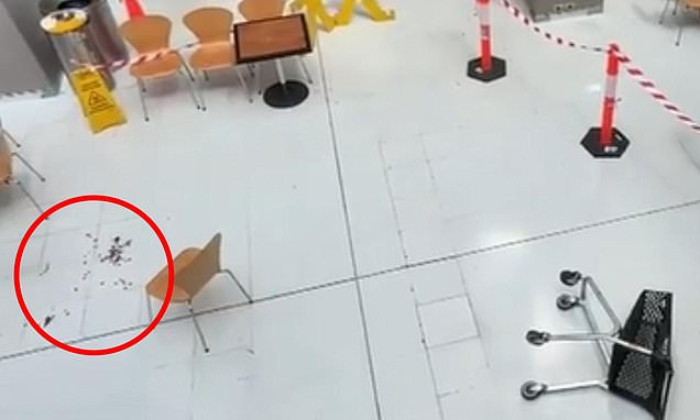 Teen girl, 13, ARRESTED after allegedly throwing trolley over railing