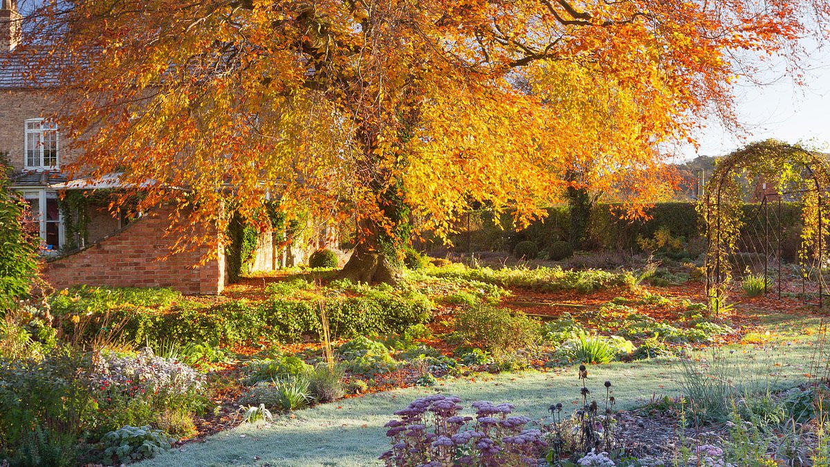The 14 mistakes even experienced gardeners MUST avoid this autumn
