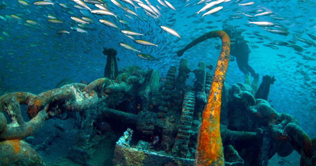 The 413ft long British ship sunk by Nazis now turned into diver's paradise