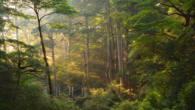 The Japanese landscapes that inspired Studio Ghibli films