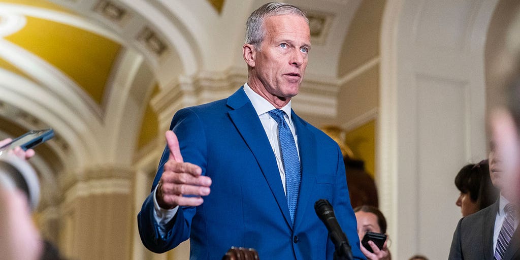 Thune pans Democrats' shutdown stance as 'borderline pathological,' 'like a disease'