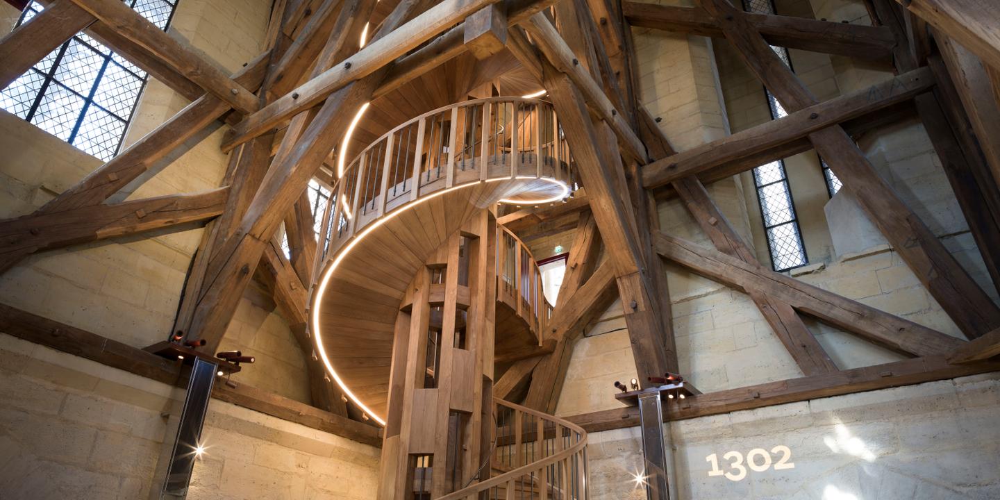 Towers of Notre-Dame de Paris reopen to the public