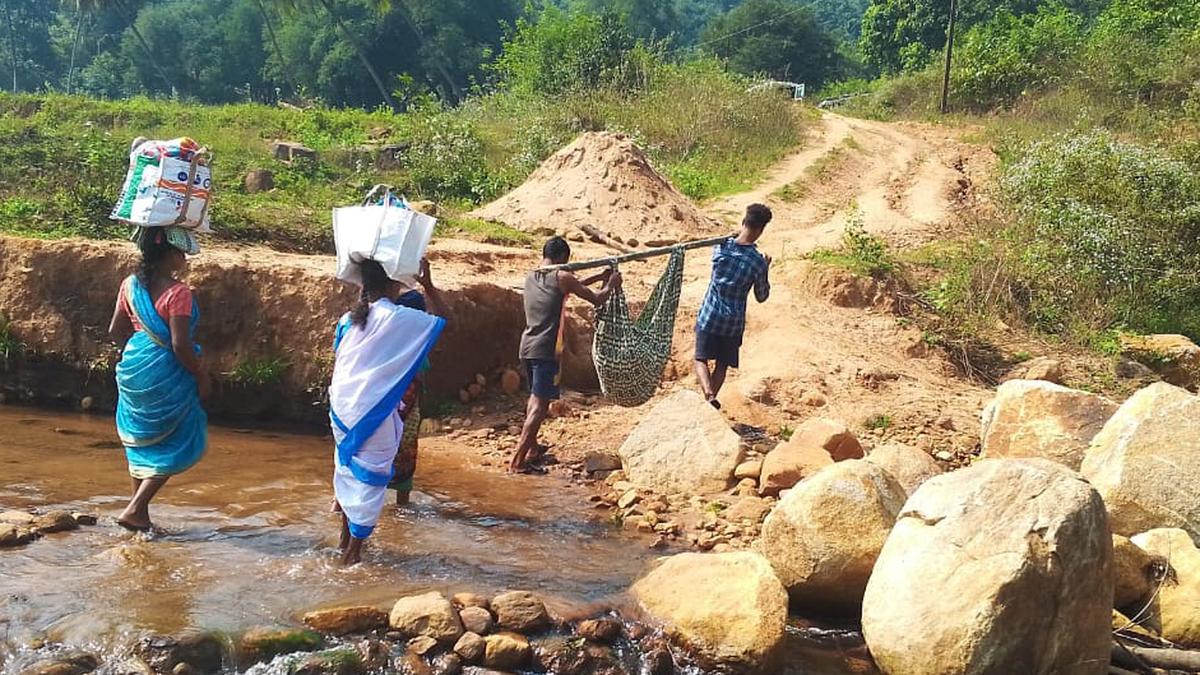 Tribal woman delivers baby in a 'doli' on way to hospital in Telangana's Charla mandal