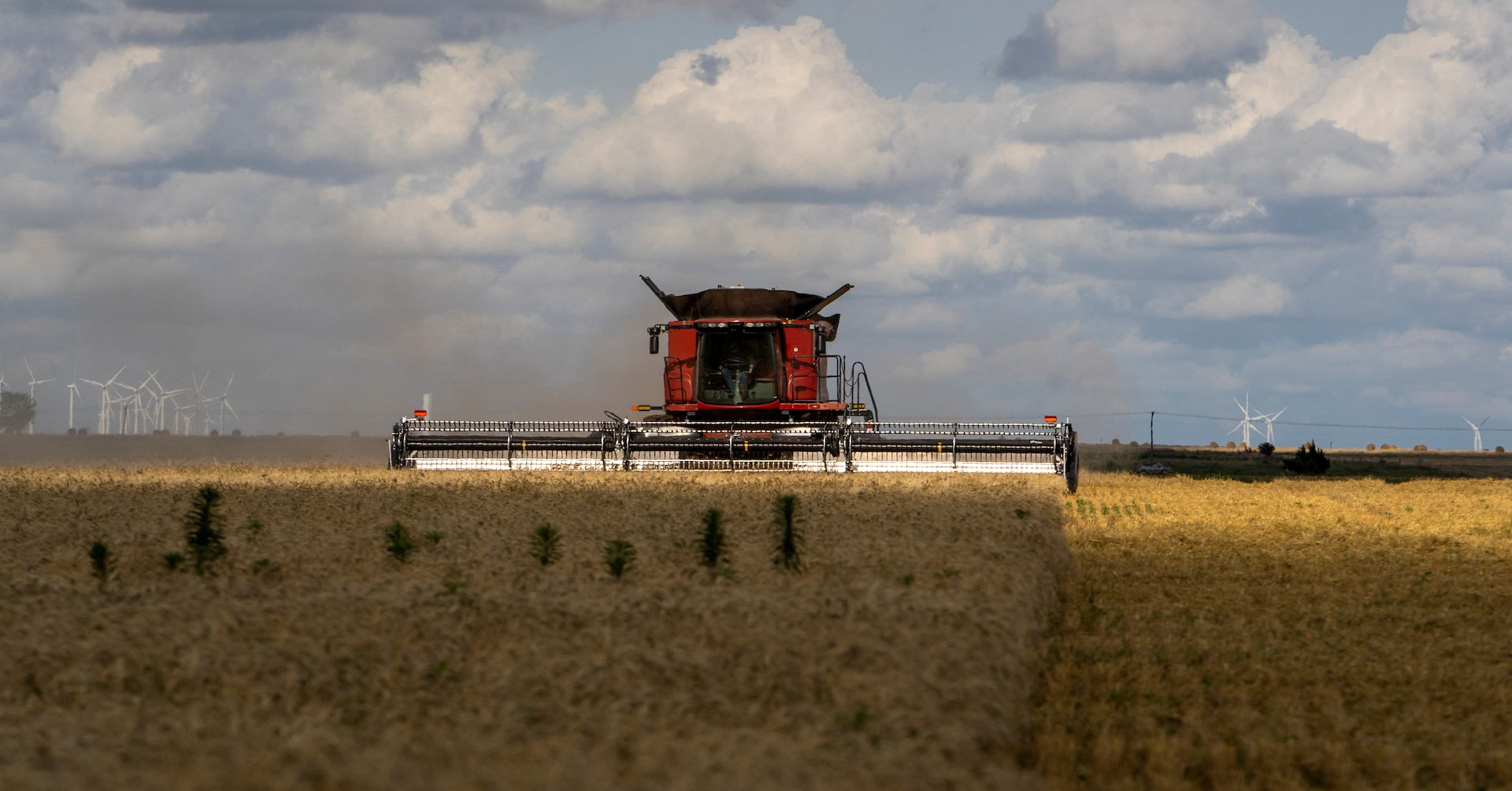 Trump tariffs could fund bailout for US farmers, says agriculture secretary, FT reports