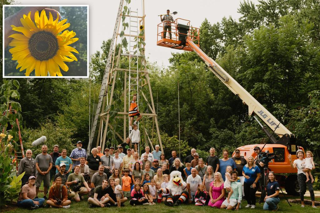 Ukrainian immigrant grows world's tallest sunflower stretching over...