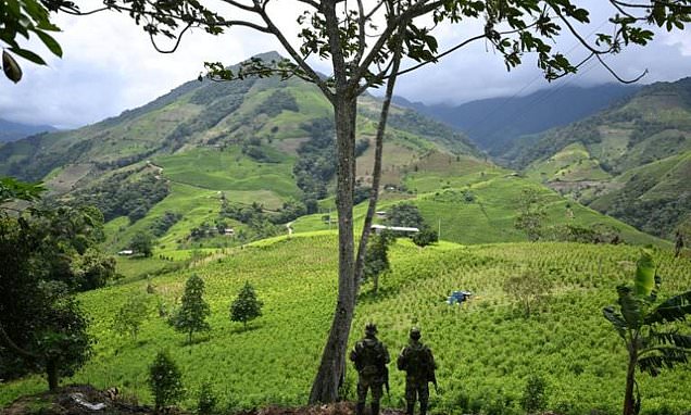 US decertifies Colombia as ally in drugs fight