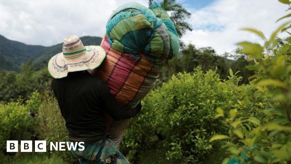 US designates Colombia country 'failing to cooperate in drug war'