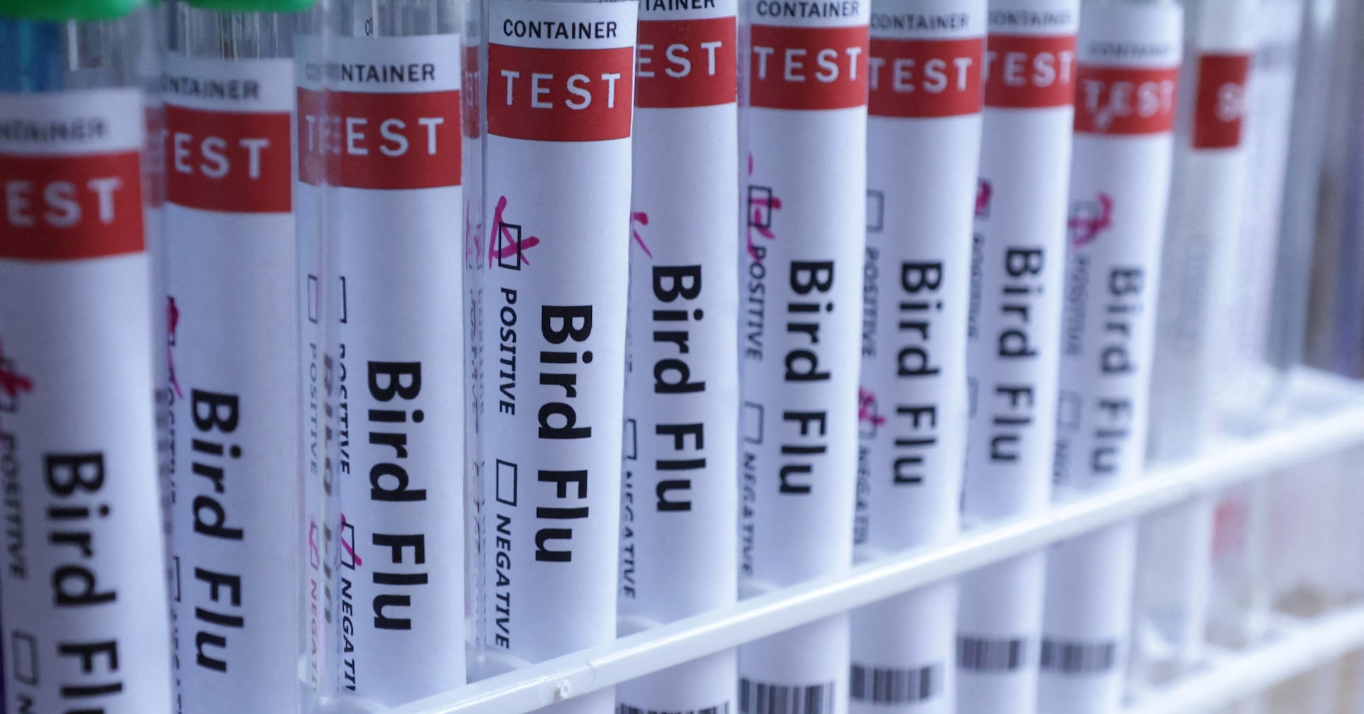 USDA reports Nebraska's first case of bird flu in dairy cattle herd