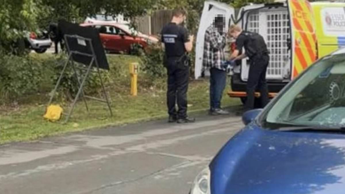 Wanted asylum seeker seen wandering into Epping school