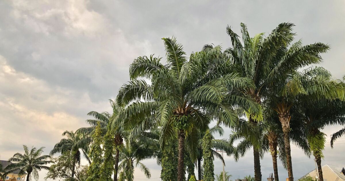 'West Africa's longest beach' stretching 18 miles with beautiful blue waters