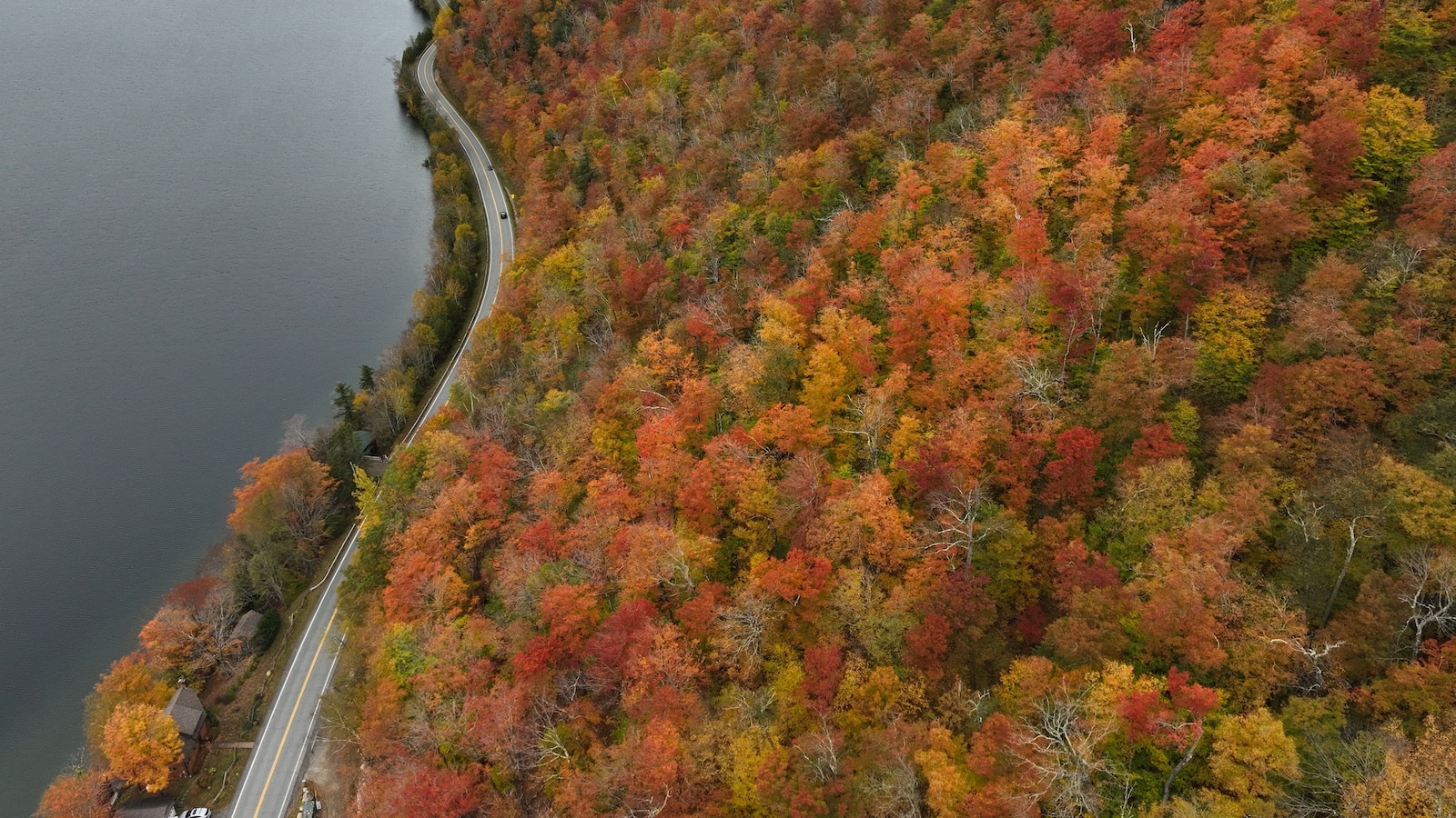 When regions around the US will see peak fall foliage