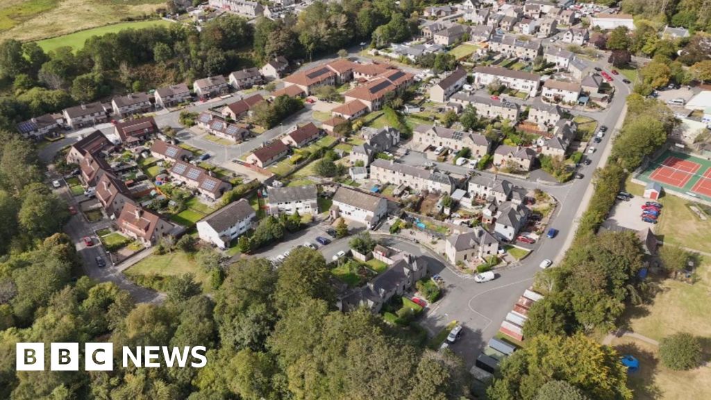 Why urban Scotland needs 2.5 million saplings for 'tree equality'