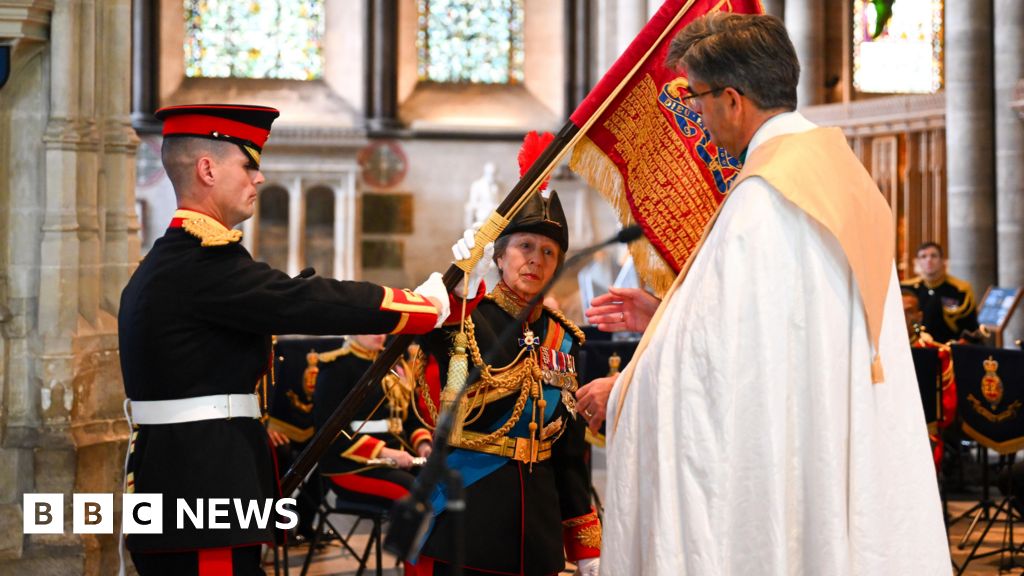 Wiltshire in Pictures: Princess Royal and award celebrations
