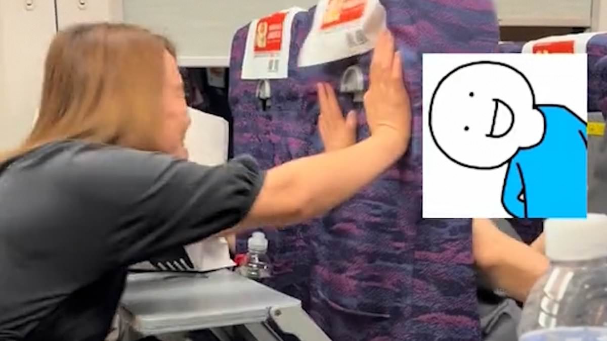 Woman shoves fellow train passenger's seat when she reclined her chair